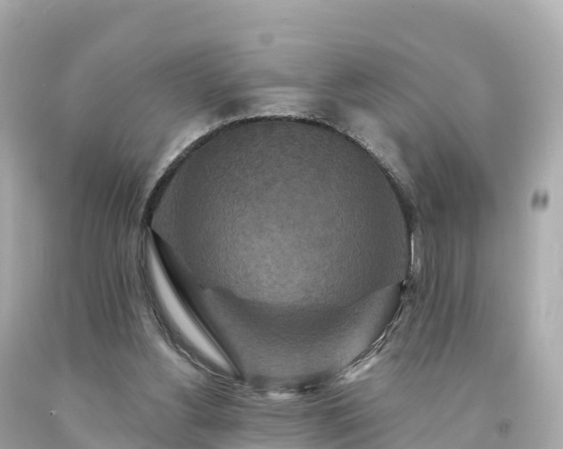 X0000094230156200711021211