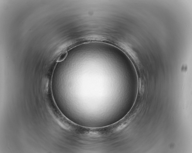 X0000094230157200711021211