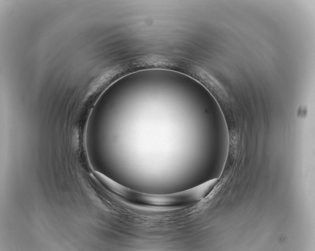 X0000094230158200711021211