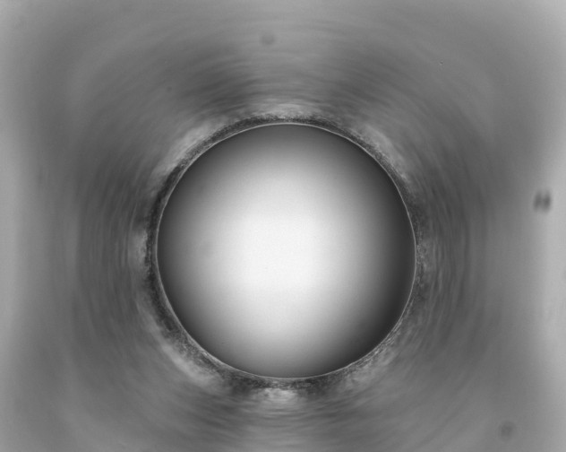 X0000094230159200711021211