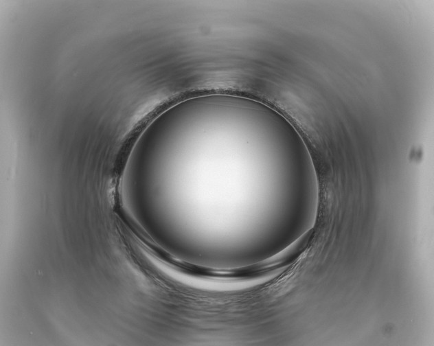 X0000094230160200711021211