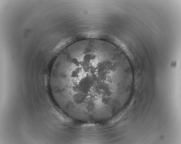 X0000094230161200711021211