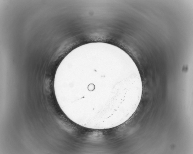 X0000094230162200711021211