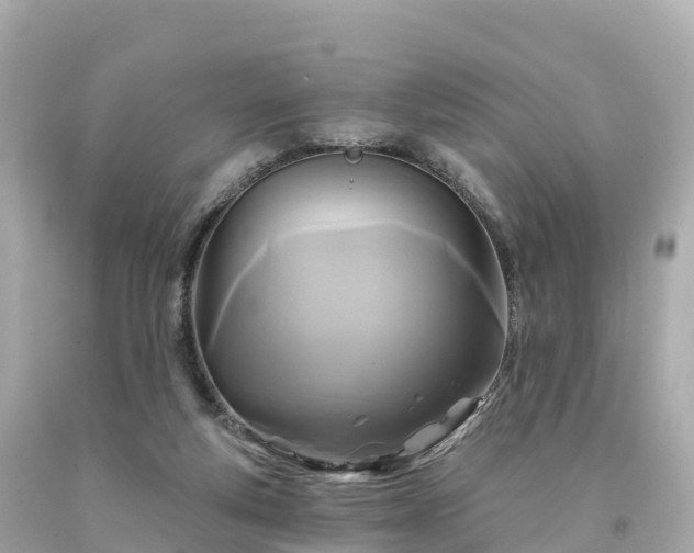 X0000094230163200711021211