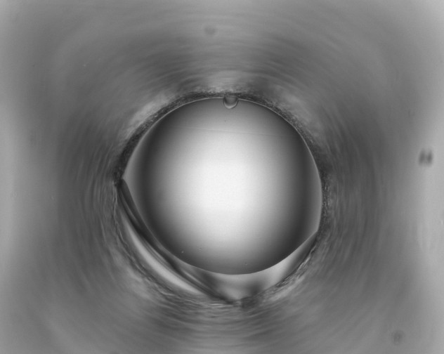 X0000094230164200711021211