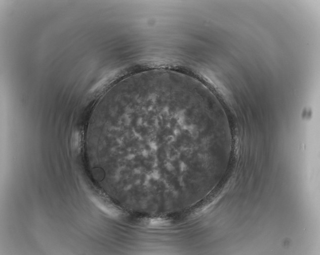 X0000094230165200711021212