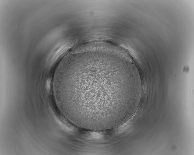 X0000094230166200711021212