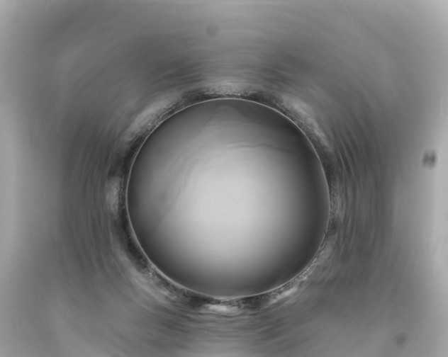 X0000094230167200711021212