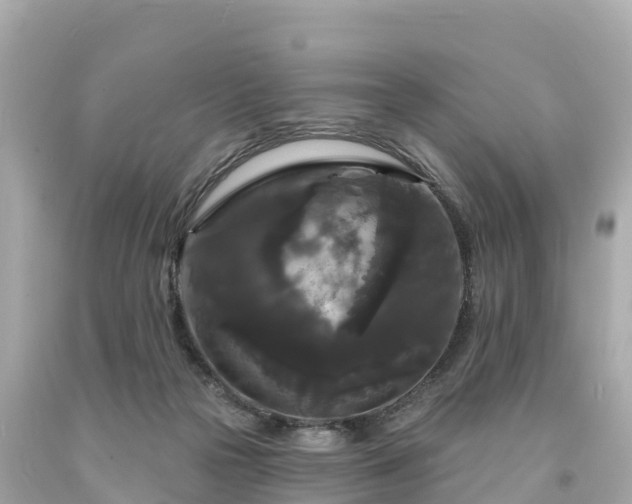 X0000094230169200711021212