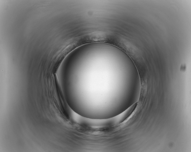 X0000094230170200711021212