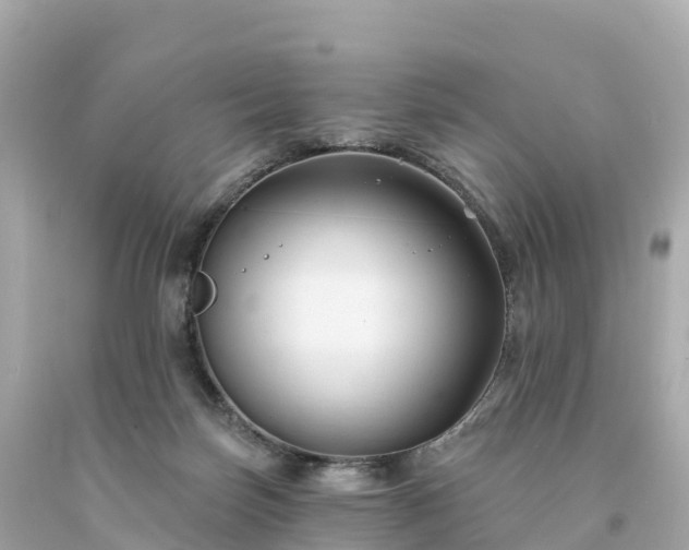 X0000094230171200711021212