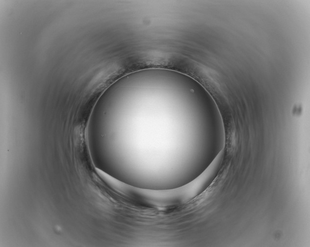 X0000094230172200711021212