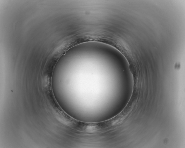 X0000094230173200711021212