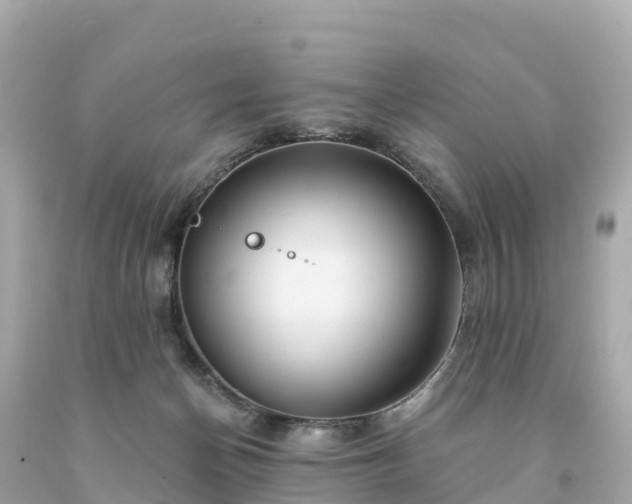 X0000094230174200711021212