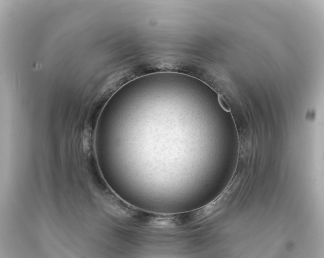 X0000094230175200711021212