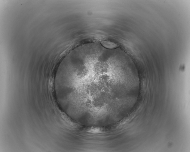 X0000094230177200711021212