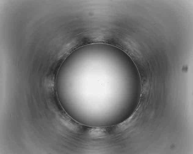 X0000094230179200711021212