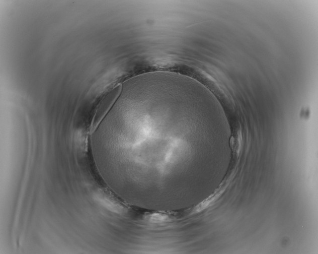 X0000094230180200711021212