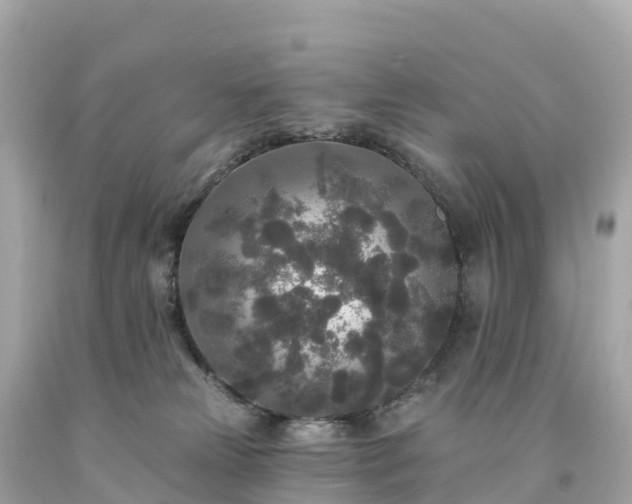 X0000094230181200711021212