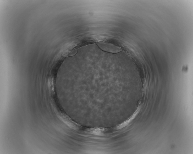 X0000094230182200711021212