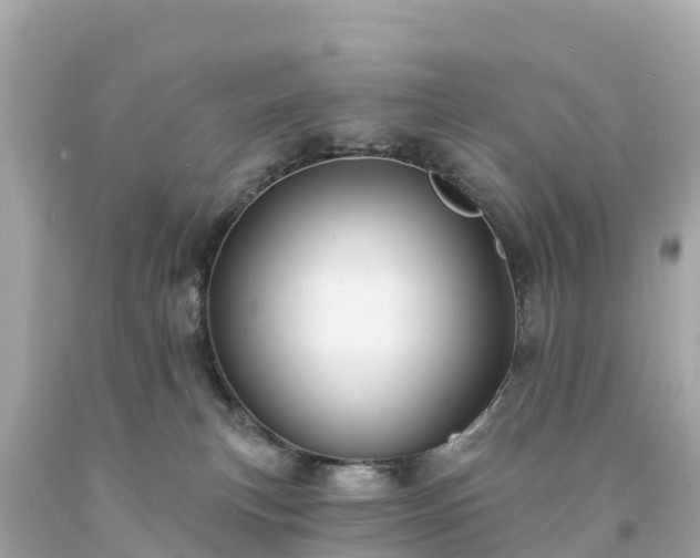 X0000094230183200711021212