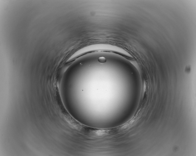 X0000094230184200711021212