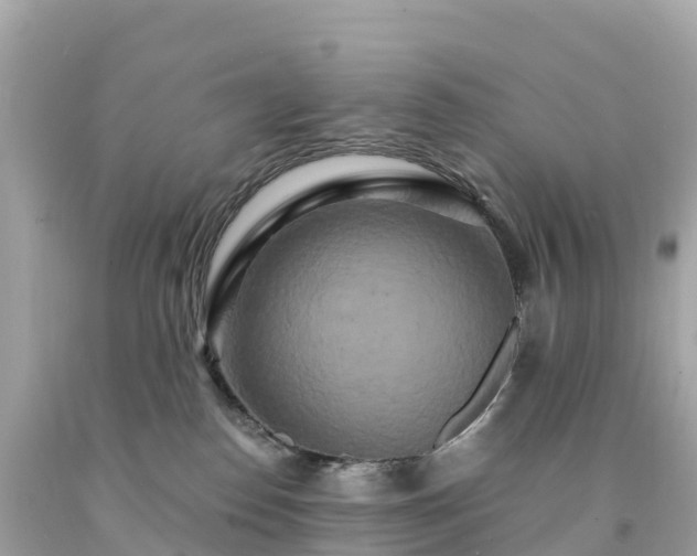 X0000094230186200711021212