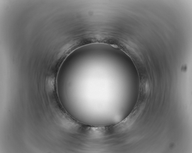 X0000094230188200711021212