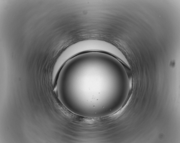 X0000094230190200711021212