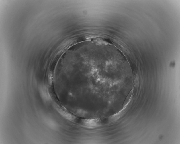 X0000094230191200711021212