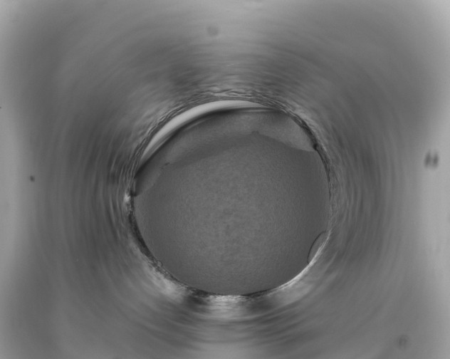 X0000094230192200711021212