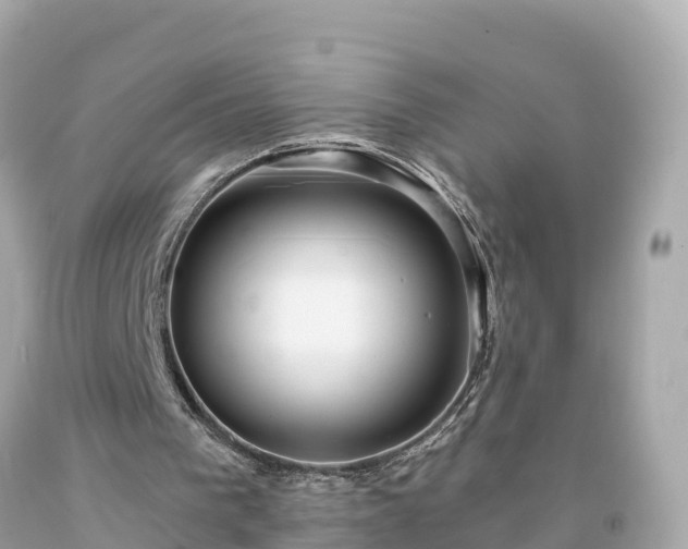 X0000094230193200711021211