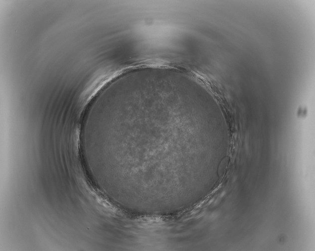 X0000094230194200711021211