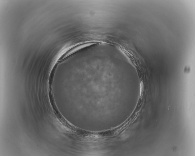 X0000094230195200711021211