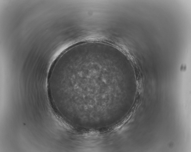 X0000094230196200711021211