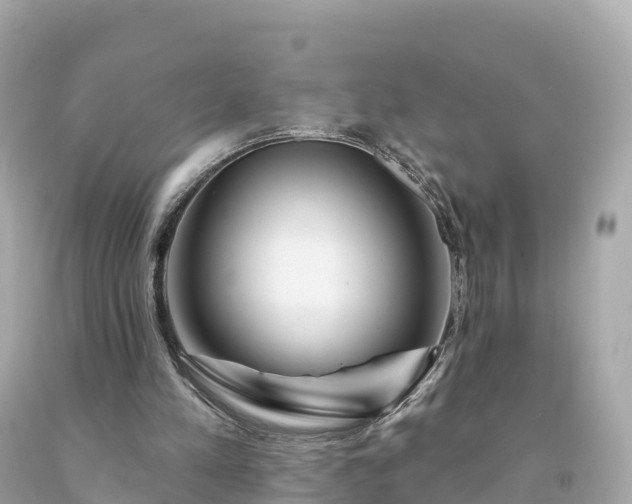 X0000094230197200711021211