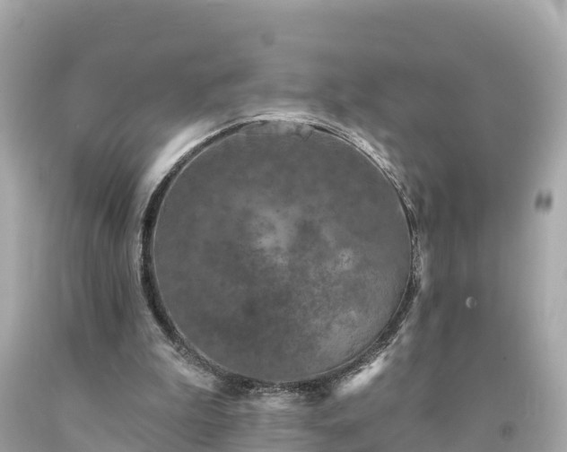 X0000094230199200711021211