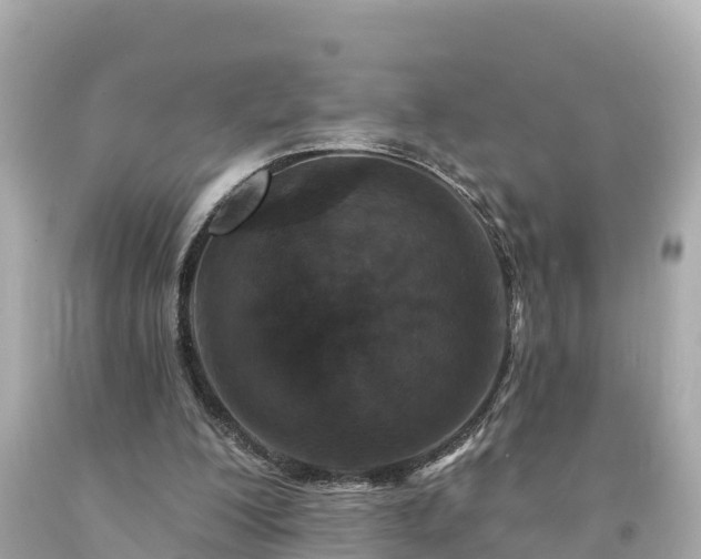 X0000094230200200711021211