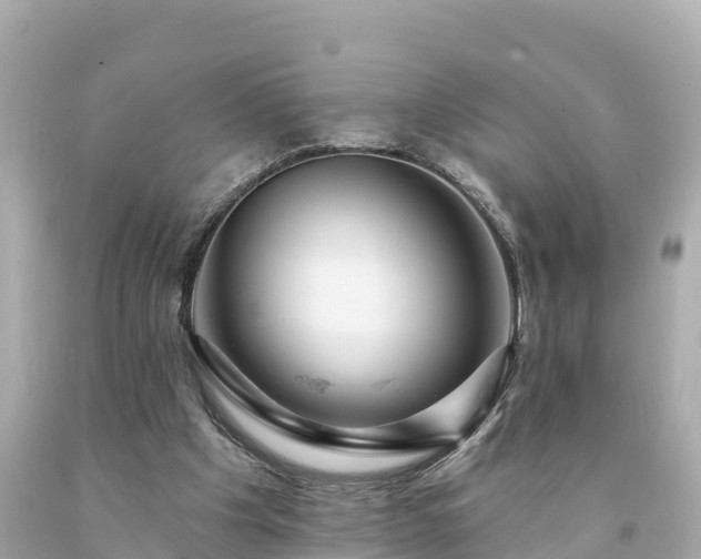 X0000094230201200711021211