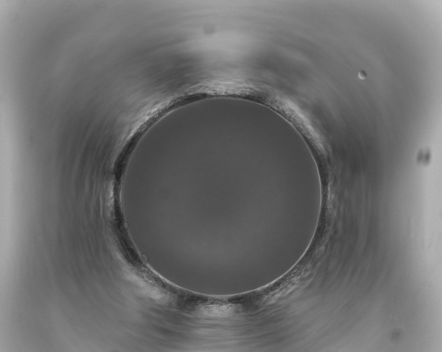 X0000094230202200711021211