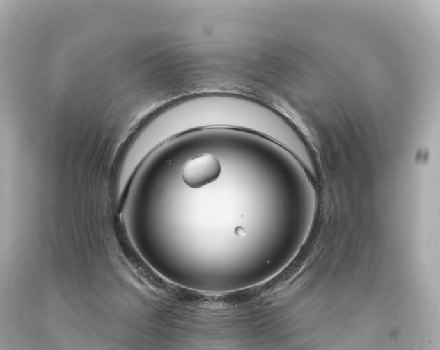 X0000094230203200711021211