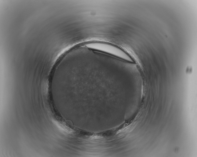 X0000094230204200711021211