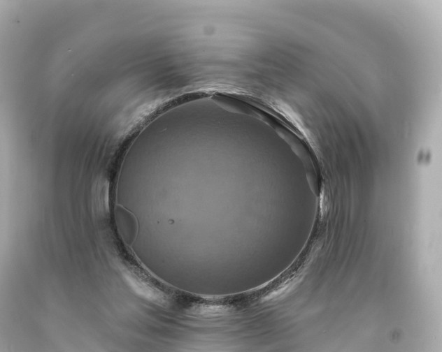 X0000094230205200711021211