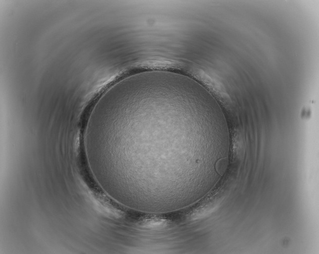 X0000094230206200711021211