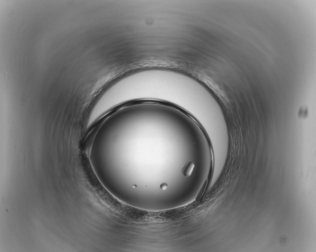 X0000094230207200711021211