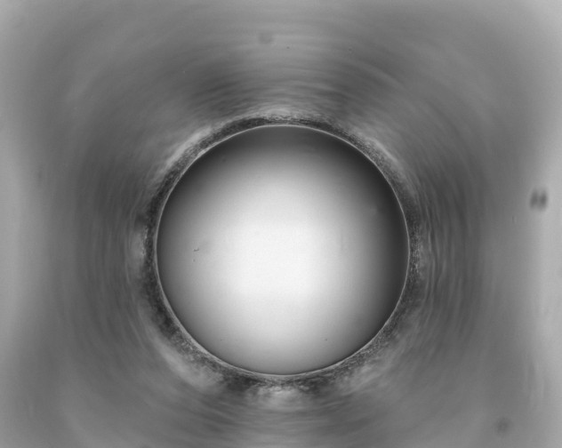 X0000094230208200711021211