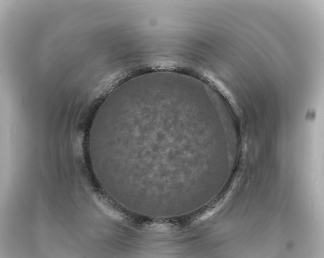 X0000094230209200711021211