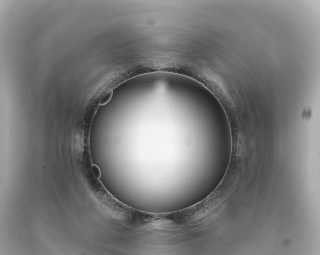 X0000094230210200711021211