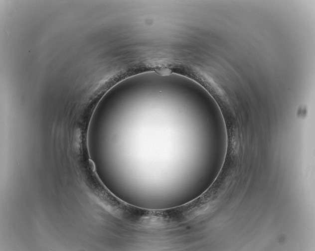 X0000094230211200711021211