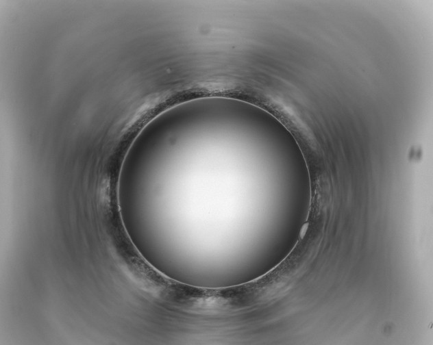 X0000094230212200711021211